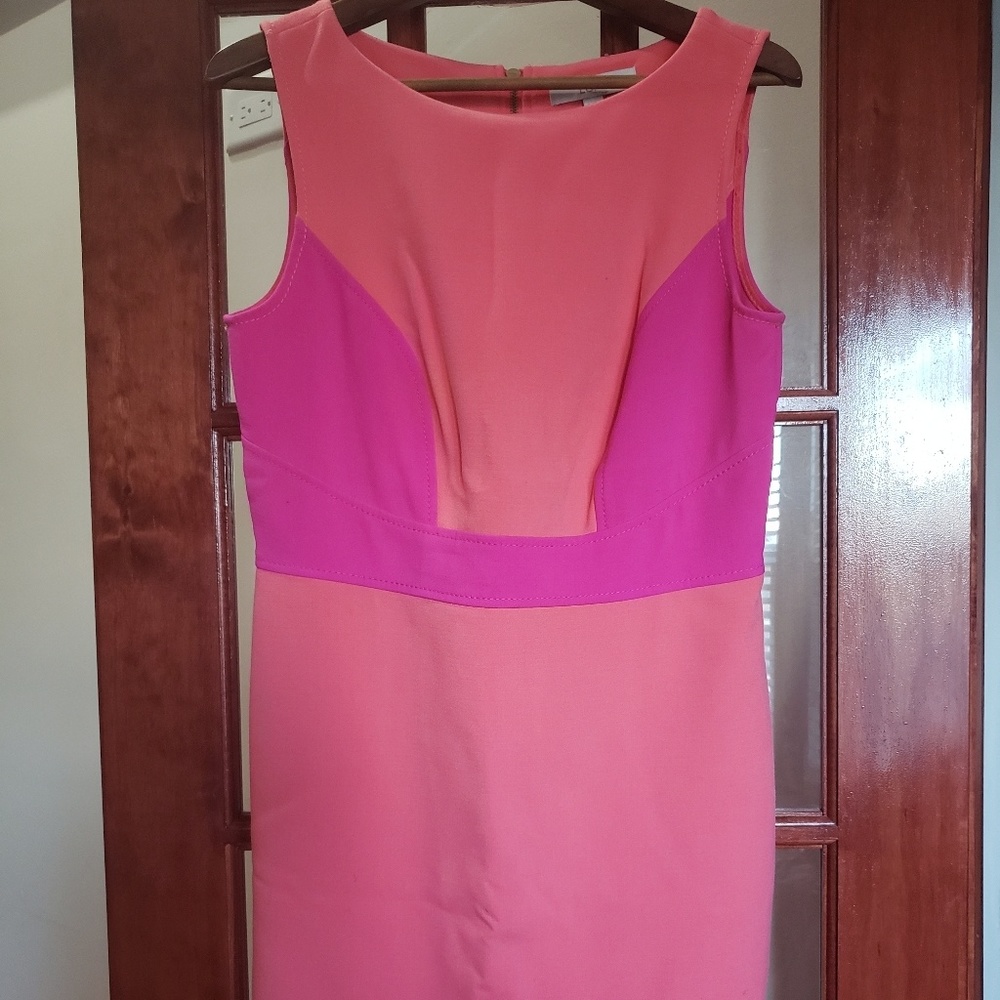 LOFT Dress